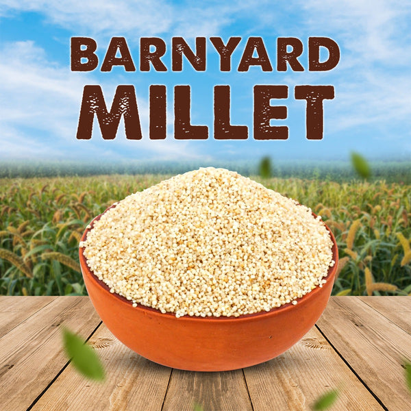 Barnyard Millet Raw / Kuthraivali Patchai