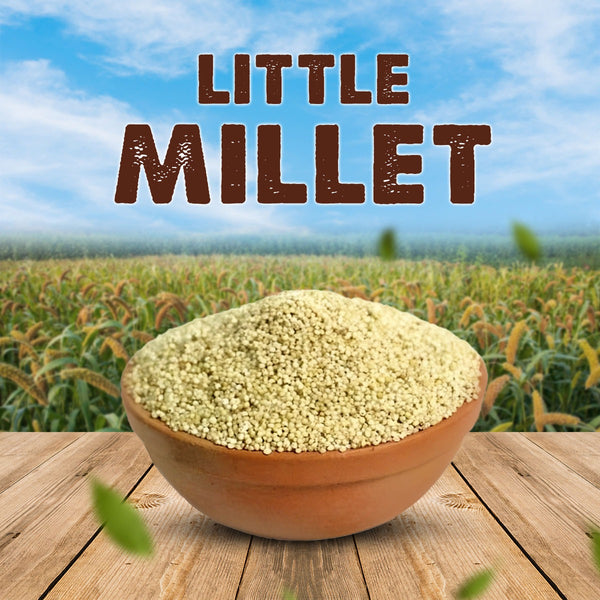 Little Millet Boiled / Saamai Boiled