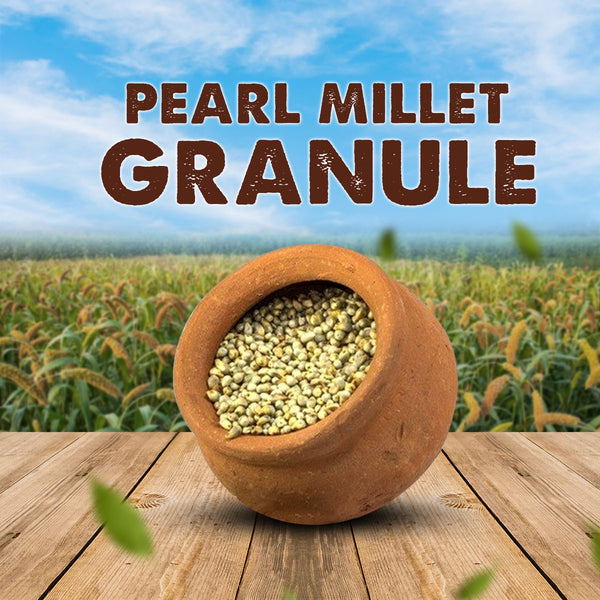 Pearl Millet Granule  / Mottu Kambu Kurunai 500g