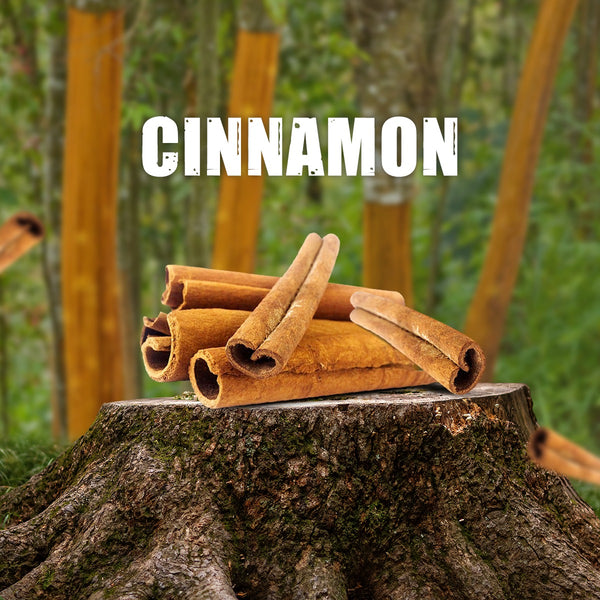 Cinnamon / Pattai 50g