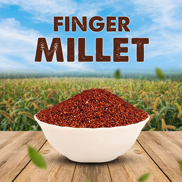 Finger Millet / Ragi