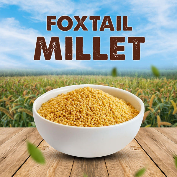 Foxtail Millet Raw / Thinai Pachai 500g