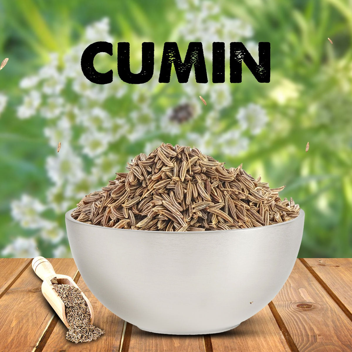 Cumin / Seeragam – Ueir Organic Foods