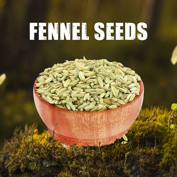 Fennel Seeds / Sombu