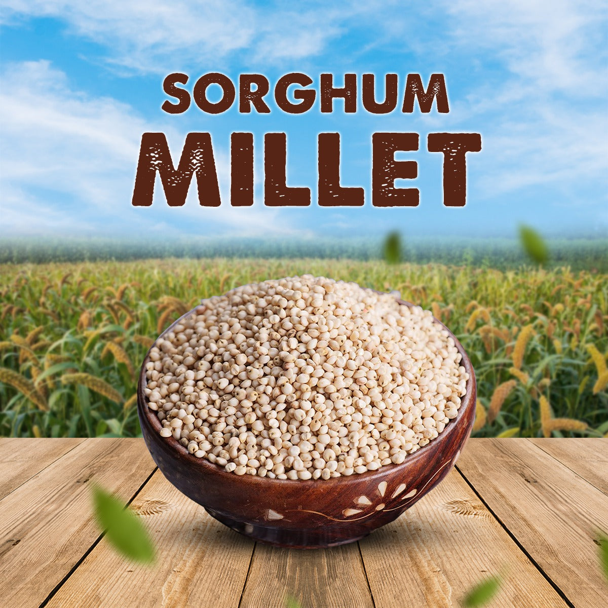 Sorghum / Solam 500g – Ueir Organic Foods